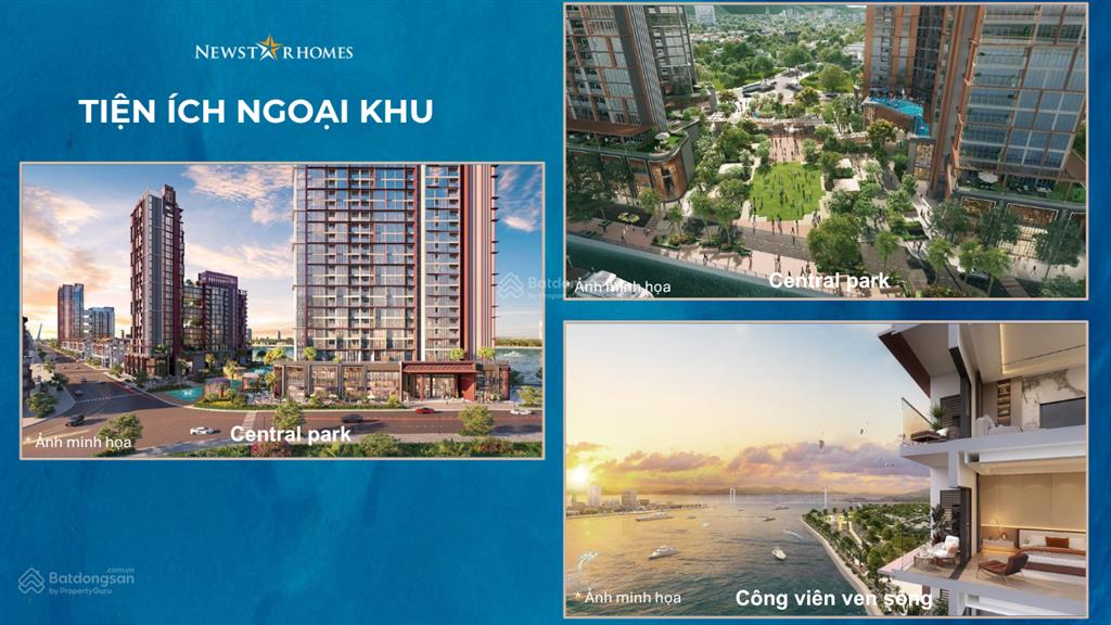 Symphony view biển, pháo hoa. (2540tr/ tháng cho thuê vận hành)
