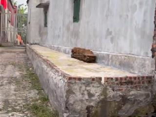 Bán đất thôn ba lăng kèm nhà cấp 4