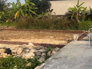Bán đất đẹp xuất sắc tại bạch đằng, liên xuân, thủy nguyên, 460 triệu, 60m2