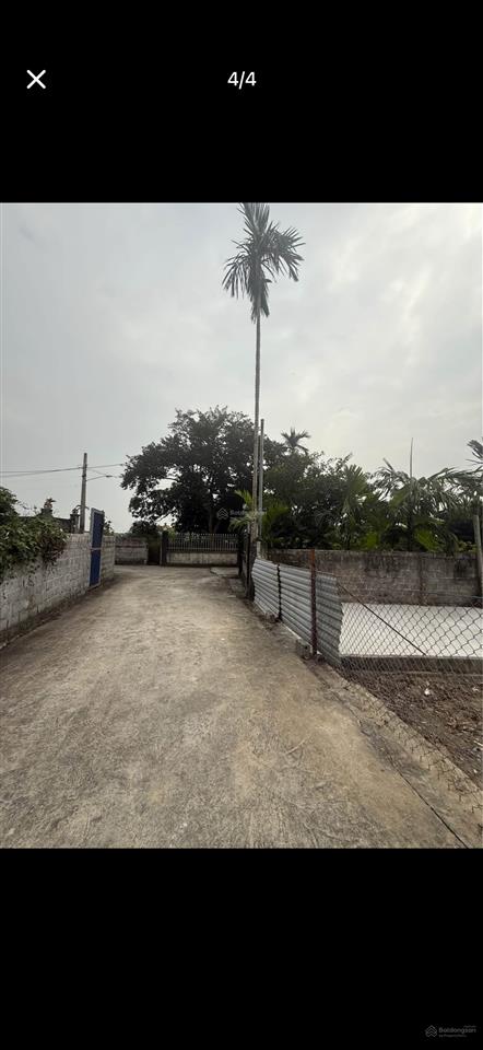 Bán đất tại xã bát trang, an lão, hải phòng, 650 triệu, 68 m2