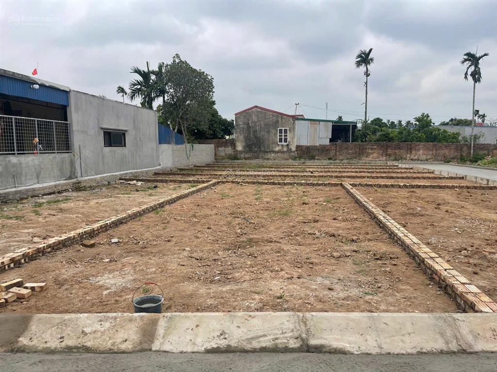 Bán đất tại xã chiến thắng, huyện an lão, hải phòng, 1,1 tỷ, 70 m2