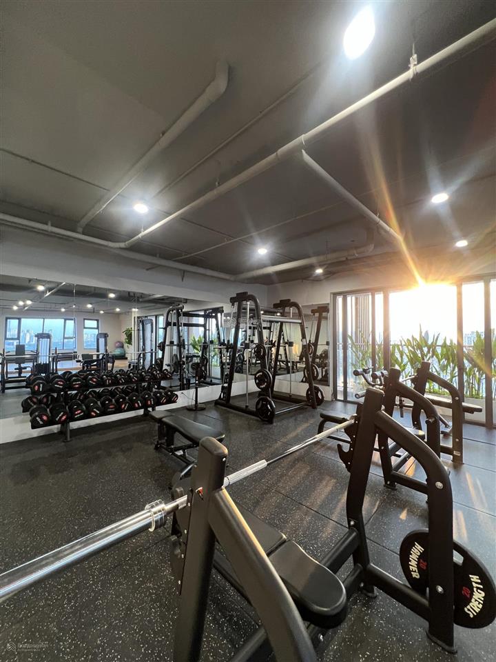 Bán căn hộ 3pn diện tích cực lớn 137m2 tại ascent lakeside mặt tiền đường nguyễn văn linh quận 7