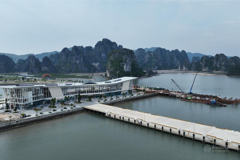 Gà đẻ trứng vàng  căn hộ view vịnh bái tử long cho thuê vận hành khai thác dòng tiền ngay