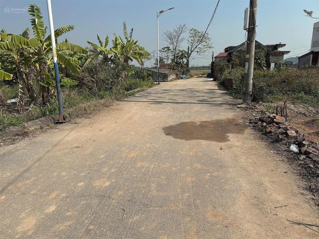 Chính chủ cần tiền bán gấp 1000m2 đất văn phong, phù lãng bắc ninh/ đất rộng  giá rẻ