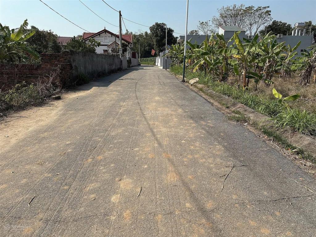 Chính chủ cần tiền bán gấp 1000m2 đất văn phong, phù lãng bắc ninh/ đất rộng  giá rẻ
