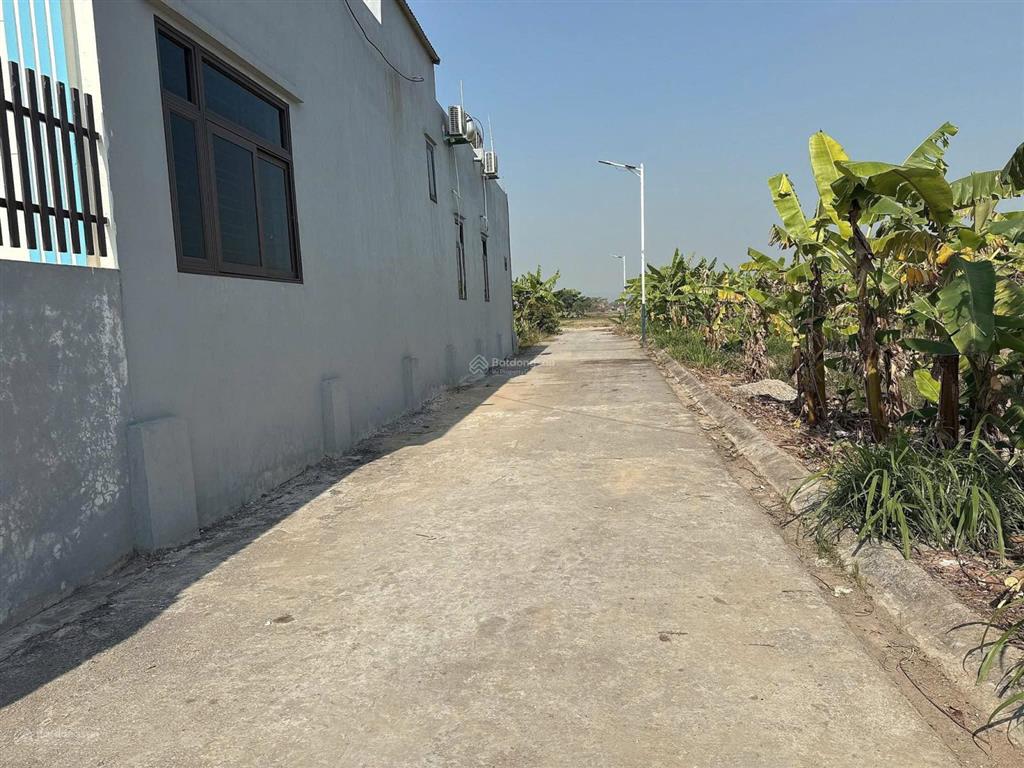 Chính chủ cần tiền bán gấp 1000m2 đất văn phong, phù lãng bắc ninh/ đất rộng  giá rẻ