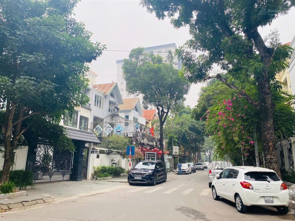 Kđt mỹ đình  mặt phố bùi xuân phái  50 tỷ  bt 130m  5 tầng  mt 7m  kinh doanh  văn phòng