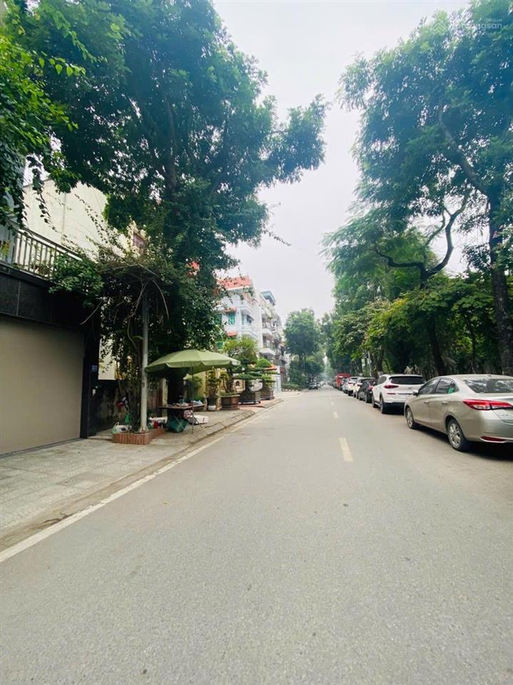 Kđt mỹ đình  mặt phố bùi xuân phái  50 tỷ  bt 130m  5 tầng  mt 7m  kinh doanh  văn phòng