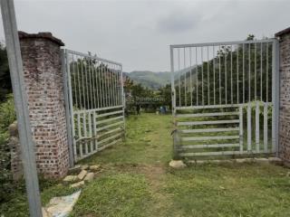 Bán nhà vườn nghỉ dưỡng 2500m2/577m2 tc 2 nhà sàn 1 bếp + vs + 1 phòng làm việc