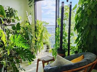 Hot! căn hộ chung cư the rainbow, 2tỷ880, 59m2, 2pn giá tốt