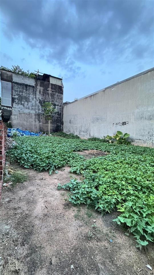 Chính chủ cần bán gấp lô đất trong kdc góc 2 mặt tiền ngang 8m full thổ cư xây tự do