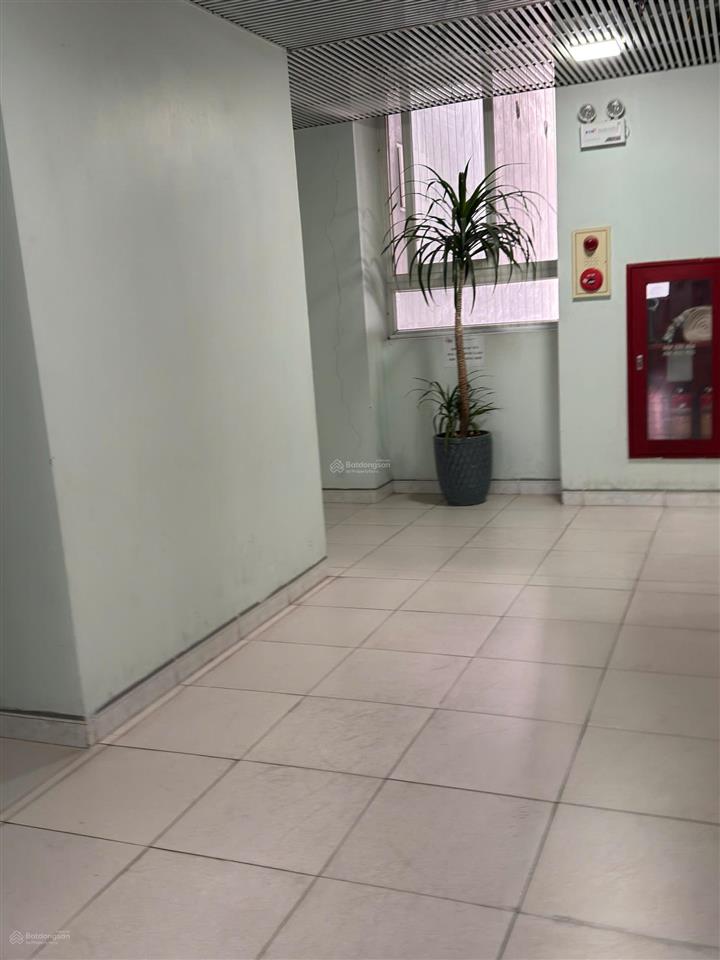 Căn hộ hot hạ đình view vin cao xà lá  115m2  8,7x tỷ xem là chốt!