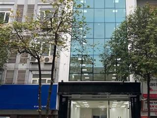 Cho thuê nhà đẹp mặt phố huỳnh thúc kháng dt 700m x8 tầng mt20m vị trí vàng, kinh doanh dễ dàng