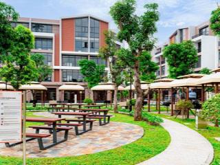 Giảm giá cực sốc! liền kề xẻ khe vinhomes ocean park 3  96m2 giá chỉ 10,6 tỷ  ngay công viên