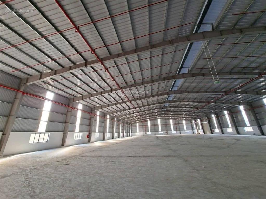 Cho thuê 16.000m2 kho xưởng mới xây