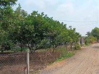 Đất nền thổ cư sổ riêng 6x30 giá 350 triệu long khánh đồng nai