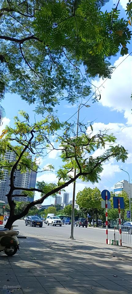 Cầu giấy 70m2 12 tỷ  gần ôtô xây tòa dịch vụ siêu đỉnh  full nội thấtở ngay