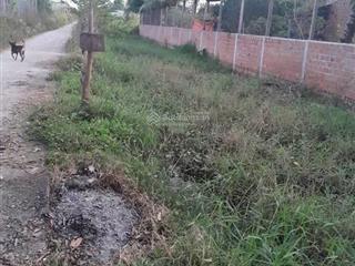 Chính chủ bán lô đất góc 2 mặt tiền tại phạm hồng thái, dt 250m² 955 triệu, pháp lý đầy đủ