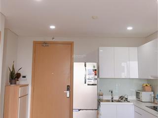 Bán căn hộ an gia skyline, 58m2, 2pn, 1wc, full nội thất. giá 4,2 tỷ, sổ hồng, hỗ trợ vay