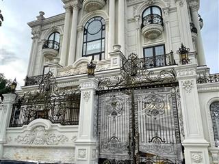 Biệt thự siêu vip hiếm khu trần nhật duật, quận 1  trệt 3 tầng hồ bơi riêng  giá bán 102 tỷ