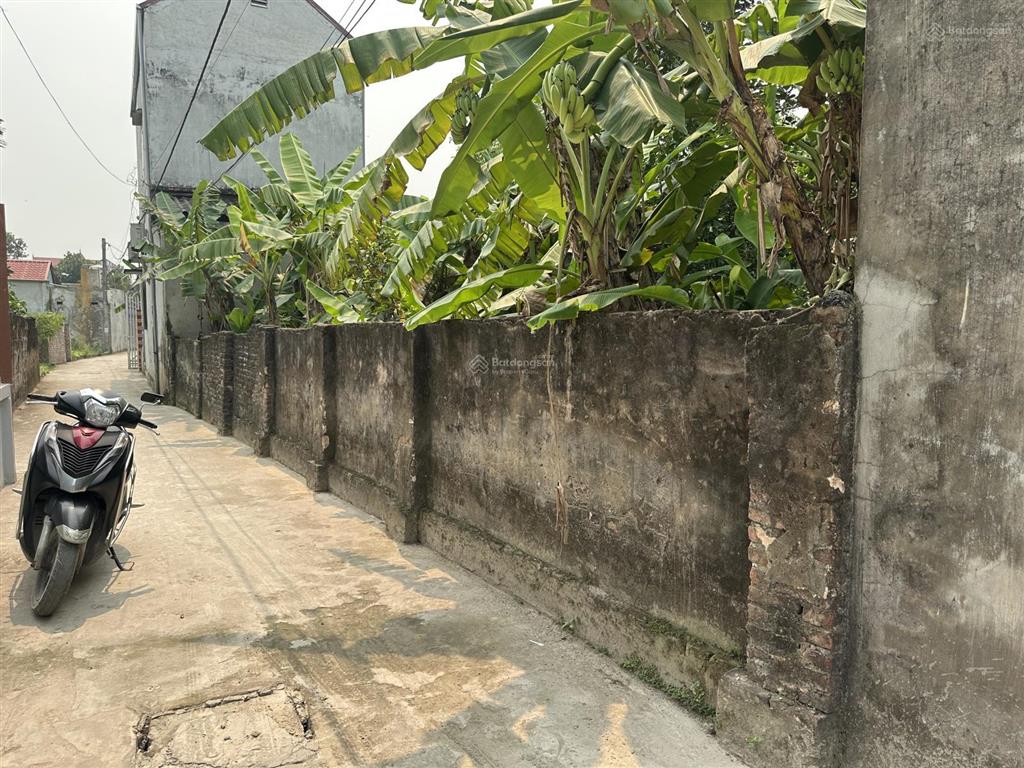 Siêu phẩm 100 m đất xóm dâu thôn bạch nao