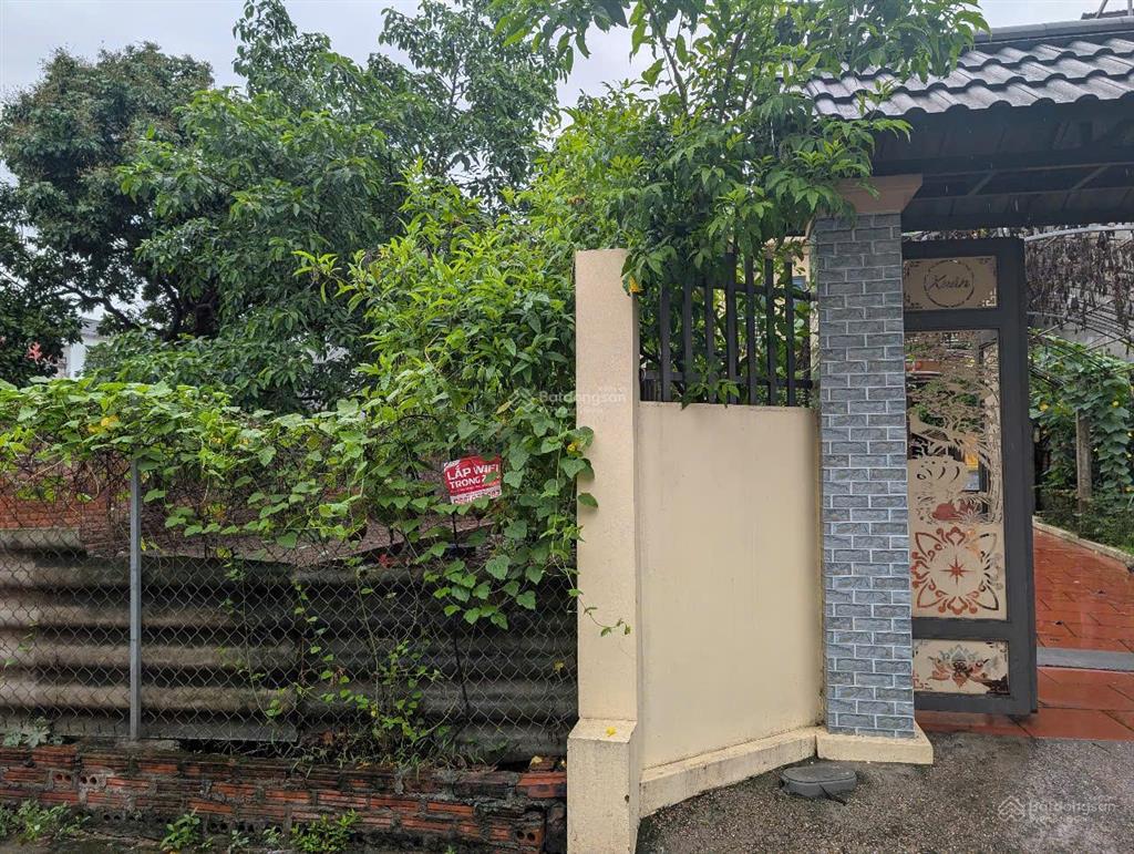 Cc bán đất đường nhạn, xuân nộn, đông anh, 55m2, đường rộng 4,5m thông, giá 62 triệu/m²