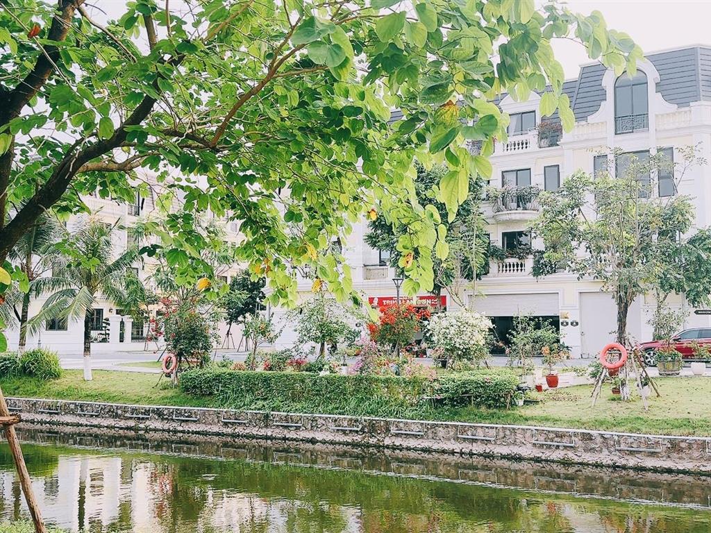 Chính chủ gửi bán căn bt song lập dt nhỏ cực hiếm 126m2 giá tốt nhất dự án, hàng hot ko lỗi nhỏ