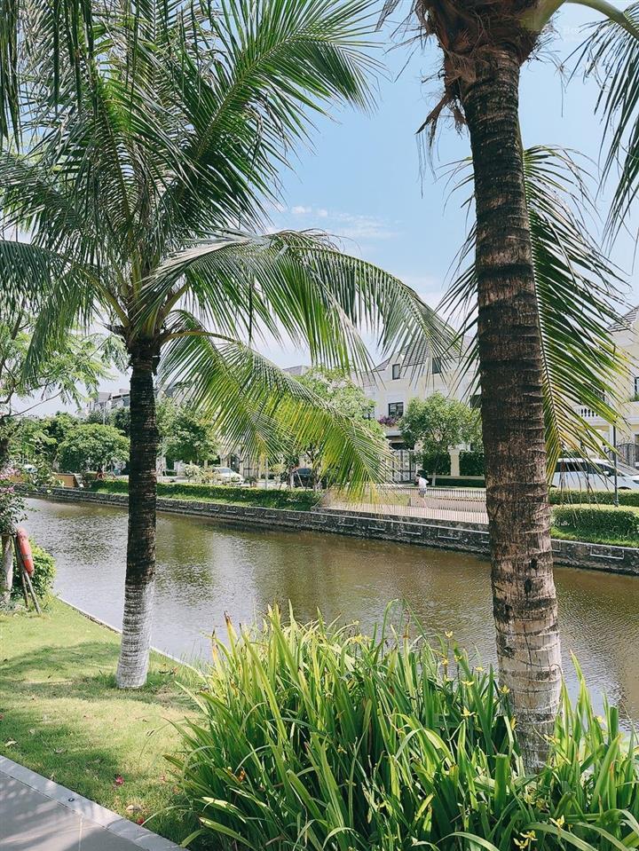 Chính chủ gửi bán căn bt song lập dt nhỏ cực hiếm 126m2 giá tốt nhất dự án, hàng hot ko lỗi nhỏ