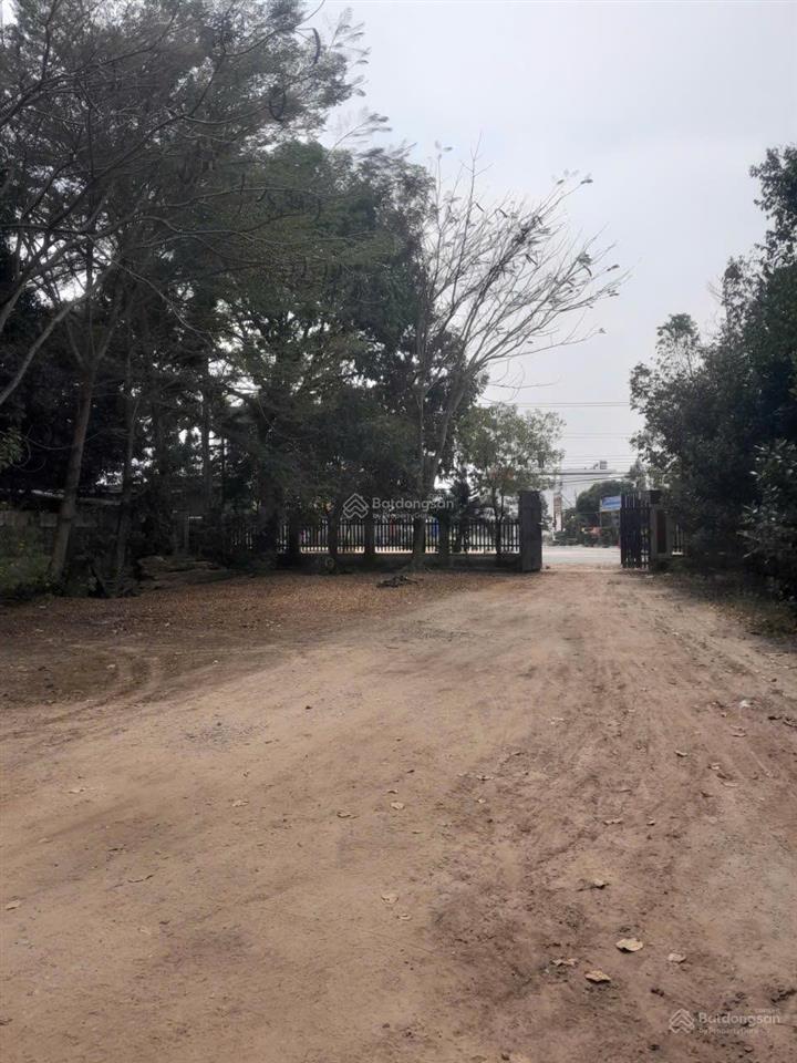 Nbd real  cho thuê nhà xưởng nhỏ 400m2 trong khuôn viên đất rộng tại trừ văn thố