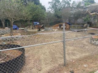 Bán đất giá ưu đãi 30 triệu vnd/m2, 283 m2 tại ngõ 19, đường tỉnh lộ 421b, quốc oai, hà nội