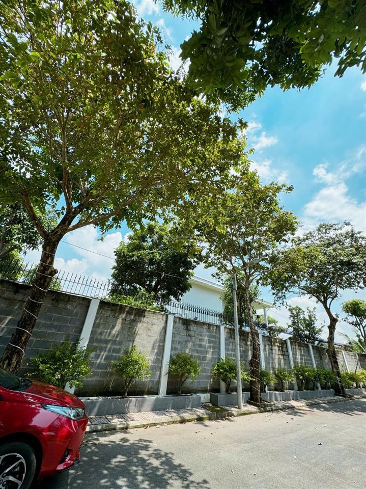 Bán gấp biệt thự cao cấp có hồ bơi đang cho thuê 45tr/th nhị bình hóc môn dt35x25m,giá 18.5 tỷ tl