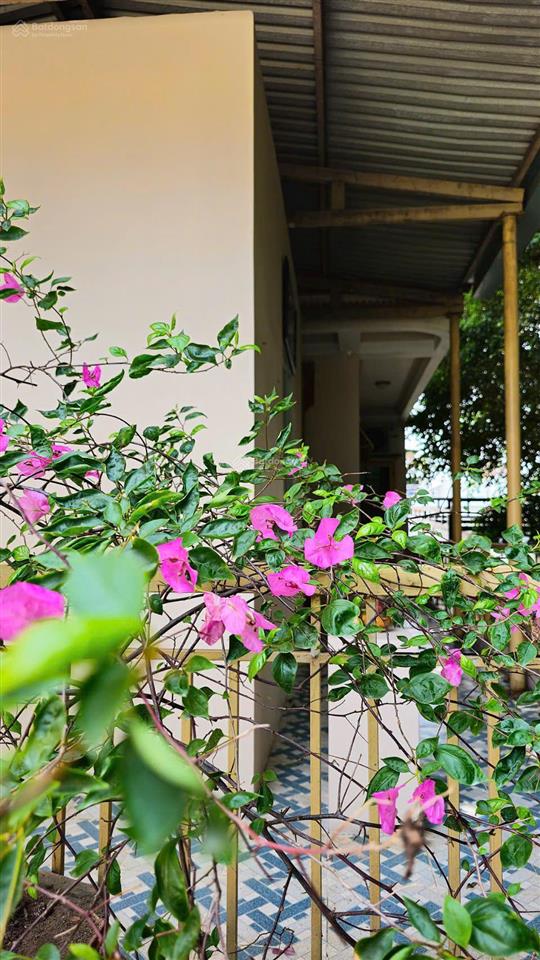Bán nhà h3c hẻm 136 đường đồng khởi, phường tam hiệp, tp đồng nai, có dòng tiền sẵn