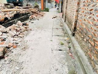 Lô hoa hậu tử dương gần đấu giá tử dương