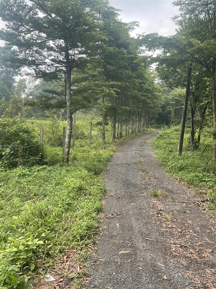Bán đất 3200m2, 15 tỷ, ở bưng môn, long an, long thành, đồng nai