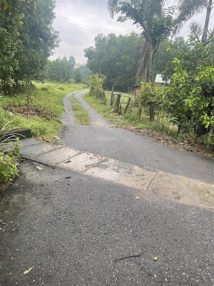 Bán đất 3200m2, 15 tỷ, ở bưng môn, long an, long thành, đồng nai