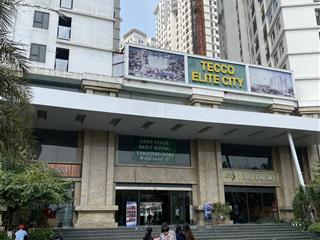 Bán căn hộ 2pn tại tecco elite city, 1,85 tỷ, 61m2, công ty có cam kết thuê lại giá 2pn 9,5tr