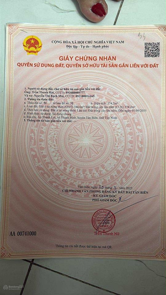 Đất nông thôn, trồng cây, cần bán