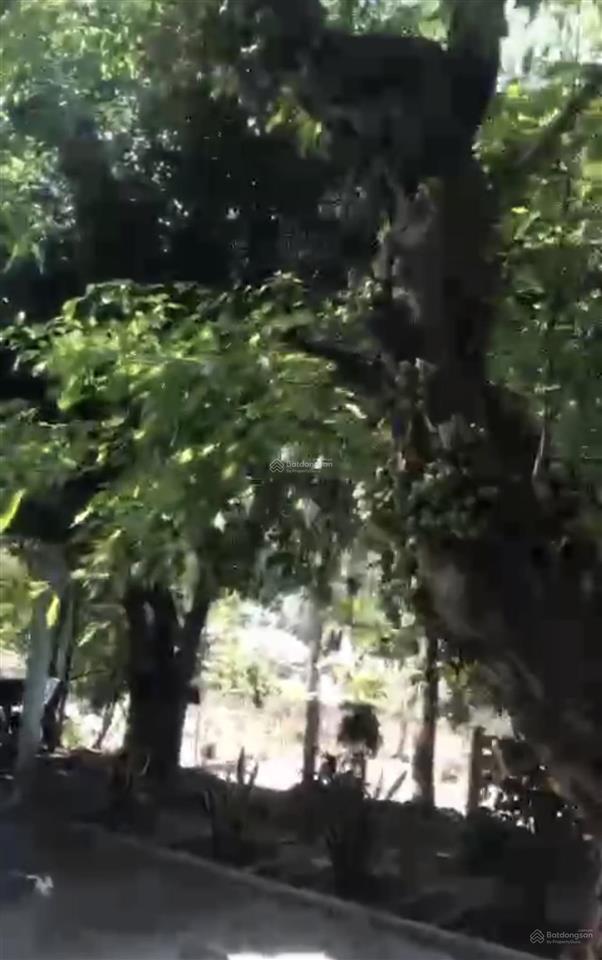 Bán nhà mặt đường quốc lộ 1a thôn mỹ phú 1, xã ô loan, đăk lăk
