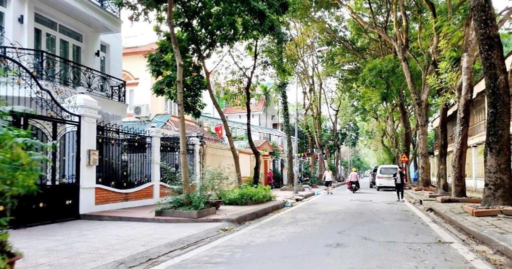 Cập nhật giá nhà kđt định công  phố trần nguyên đán 2026