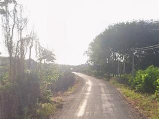 Bán 1980m2 đất (80m2 ont) tại xã xuyên mộc, giá 4 tỷ, mặt tiền 34m, đường 8m