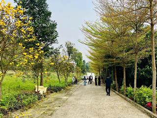 Chính chủ bán 380m2 đất xây nghỉ dưỡng biệt thự view hoà lạc vĩnh viễn giá 5 tỷ bao thị trường