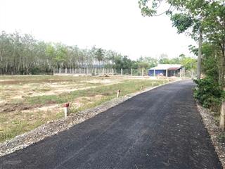 Bán đất nền tây ninh 100m2 giá rẻ tại trảng bàng