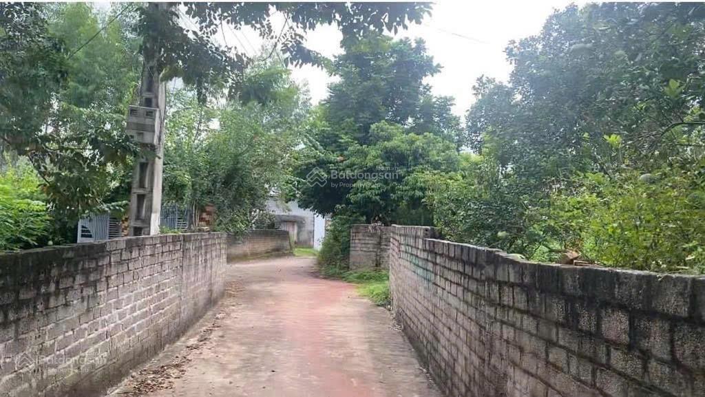 Đất địa thế đẹp, hình túi tiền. sẵn nhà vườn ao