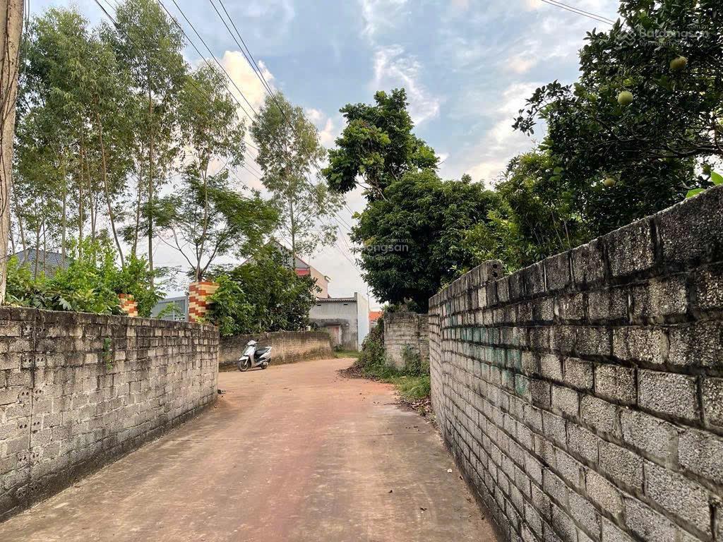 Đất địa thế đẹp, hình túi tiền. sẵn nhà vườn ao