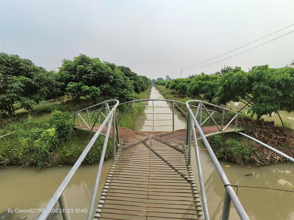 Mời tham quan 5,3 ha kdl "rừng sinh thái giữa đồng bằng" gần tt núi sập, an giang, 14tỷ tl