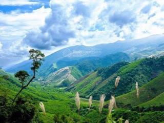 Bán đất đầu tư thị trấn a lưới, phù hợp xây dựng homstay, caffe, quán nhậu