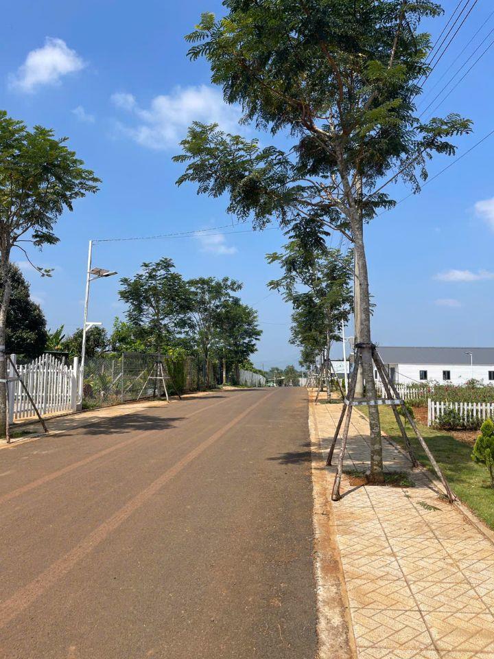 Bán Đất vùng ven Đà Lạt giá chỉ 2xxtr