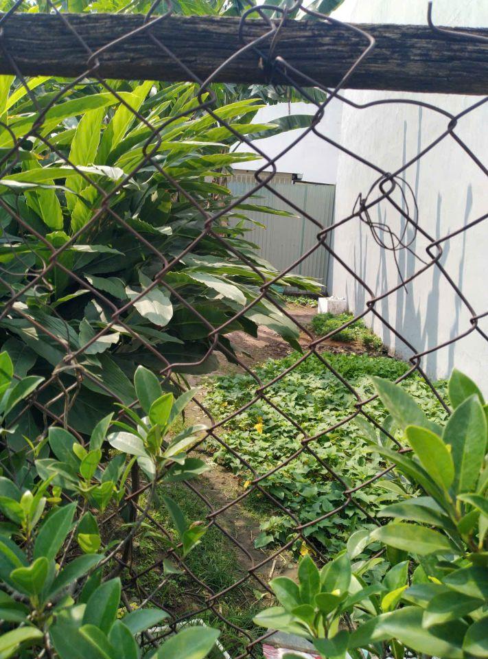Bán Lô Đất Vị Trí Đẹp, DT 5M x26M, sổ riêng, quy hoạch Đất ở, kp2 phường Trảng Dài.