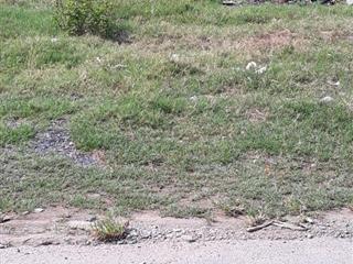 Bán Lô Đất Tái Định Cư, DT 5m x 18m, Đường Nhựa 6M, Phường Tân Phong.