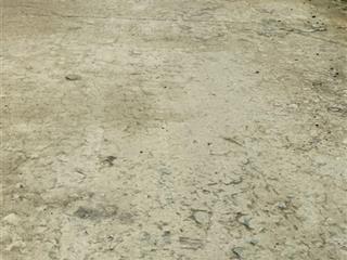 Bán đất nền đường ôtô cách huyện lộ vài chục m dân cư đông đúc gần khu du lịch biển